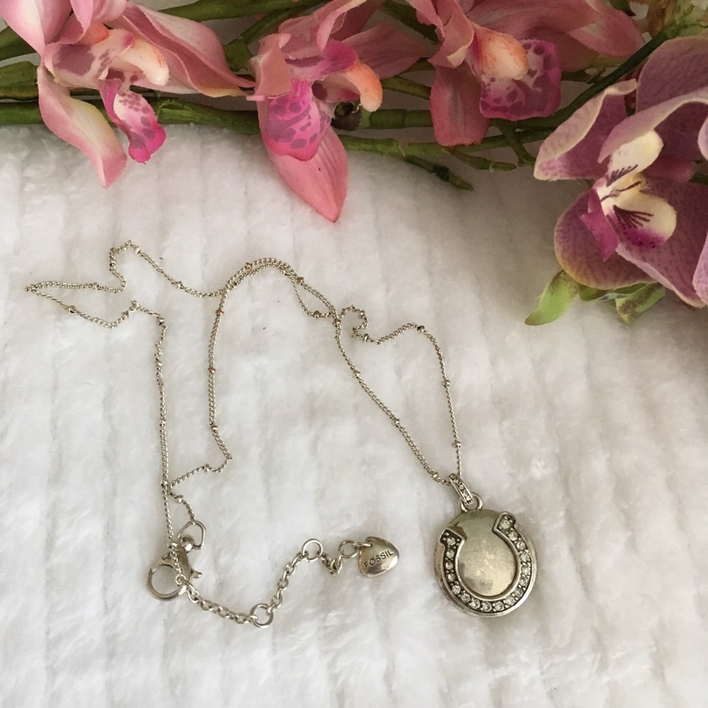 Fossil Horseshoe Necklace